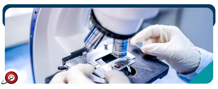Pap Smear Specialist Questions and Answers Pap Smear Specialist Questions and Answers