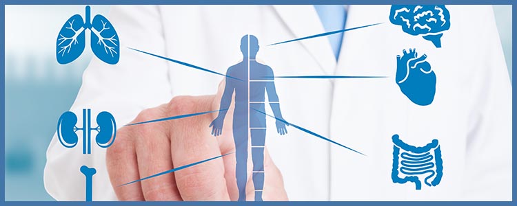 4 Questions to Ask About Internal Medicine Near Me in College Park MD 4 Questions to Ask About Internal Medicine Near Me in College Park MD